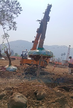 Transplantation preview 3